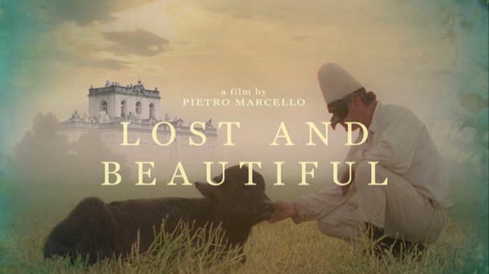 Lost and Beautiful poster
