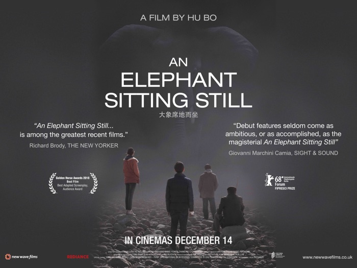 An Elephant Sitting Still