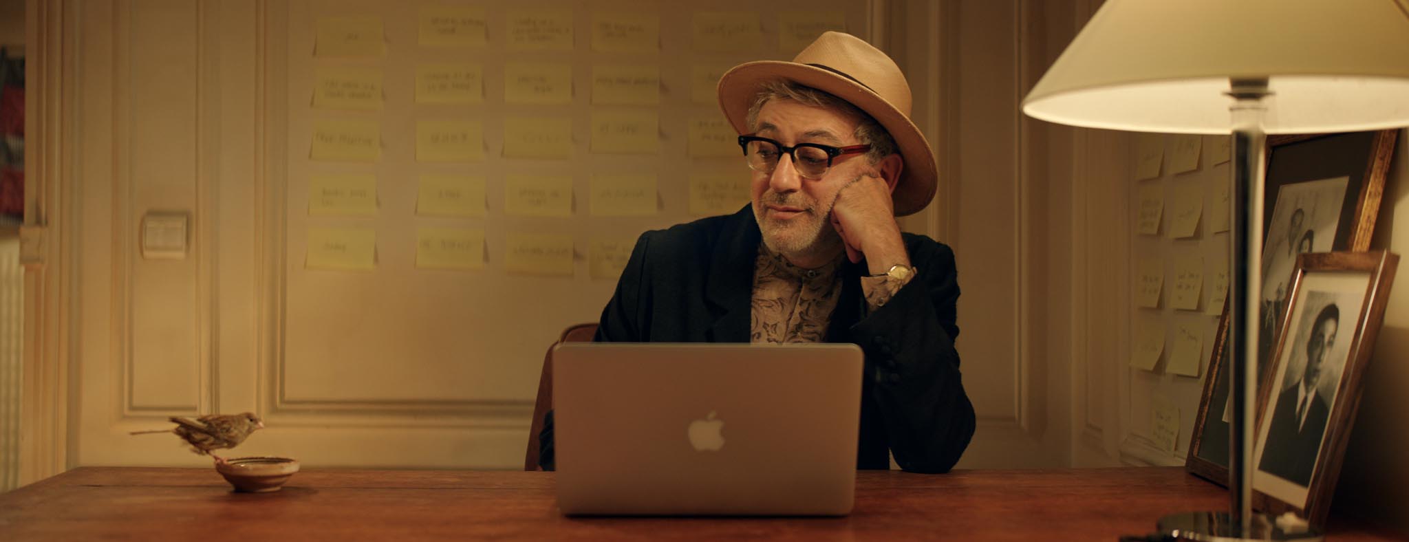 It Must be Heaven (Online & DVD)