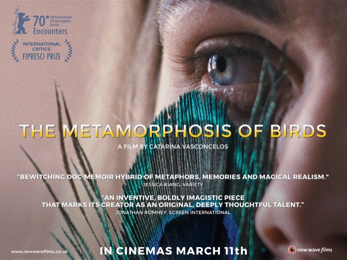 The Metamorphosis of Birds
