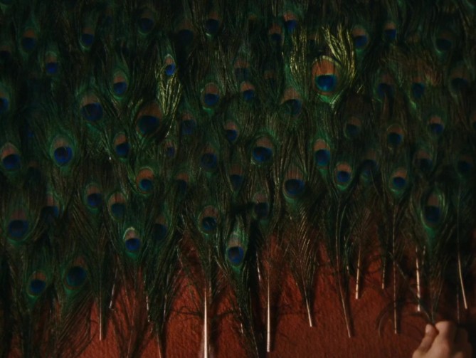 The Metamorphosis of Birds
