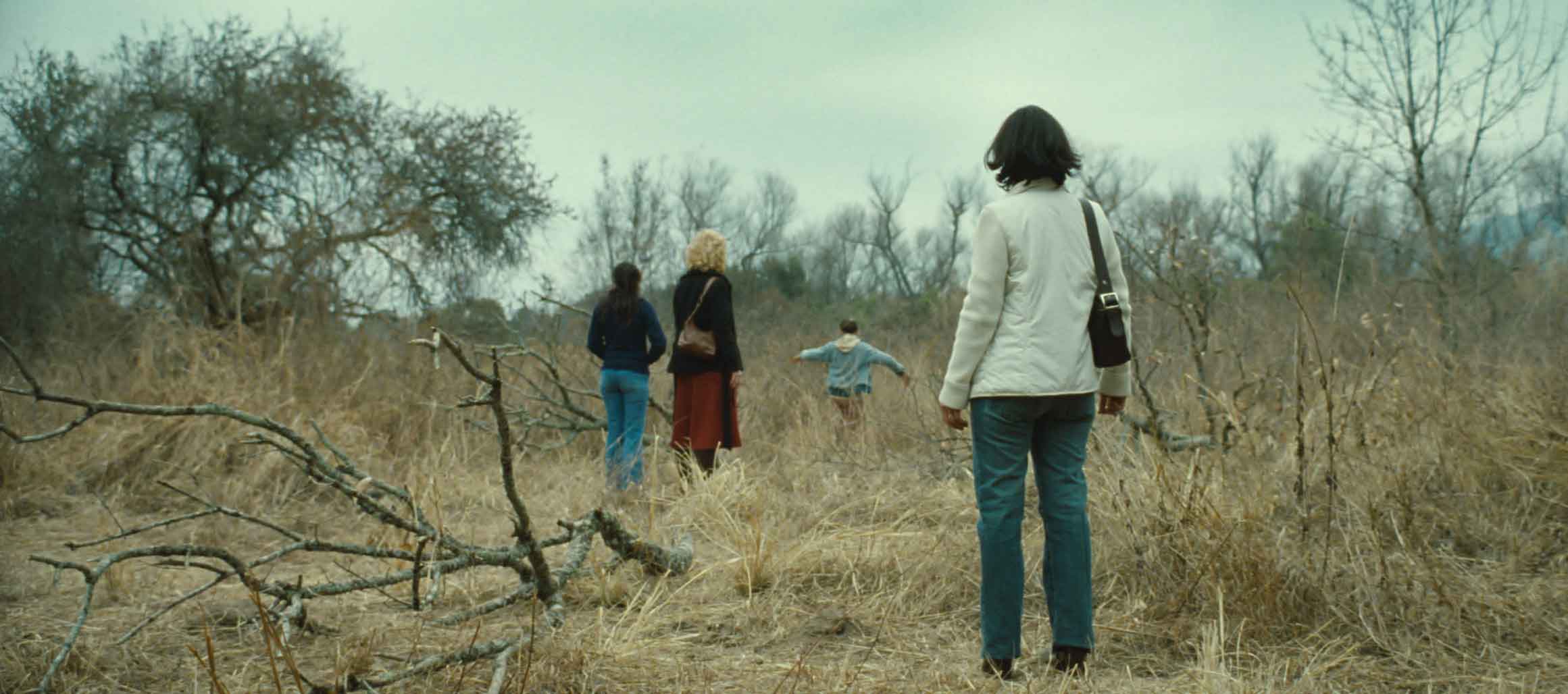 The Headless Woman (DVD & Download)