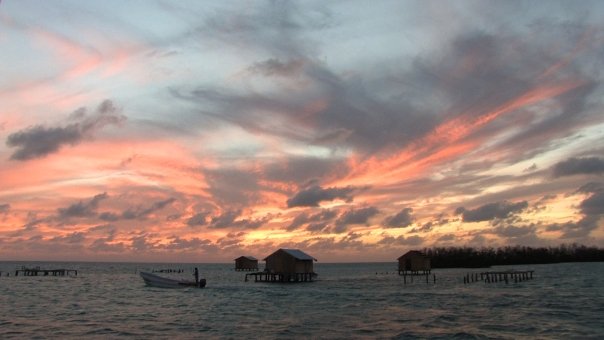 Alamar