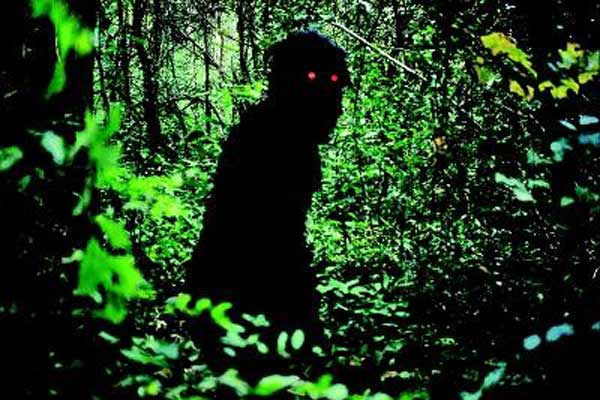Uncle Boonmee who can recall his past lives