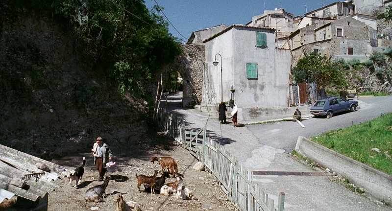 Le Quattro Volte DVD/Blu-ray/Download