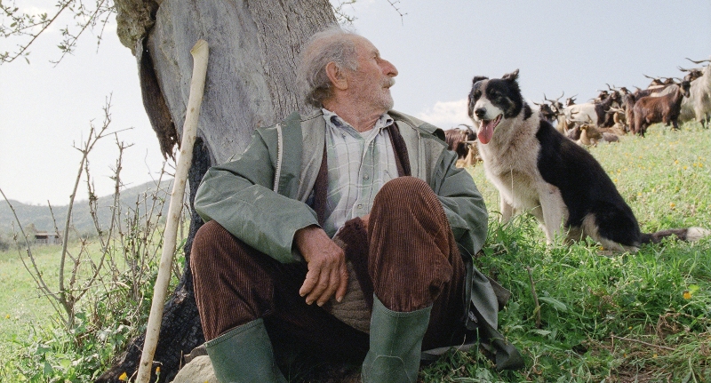 Le Quattro Volte DVD/Blu-ray/Download