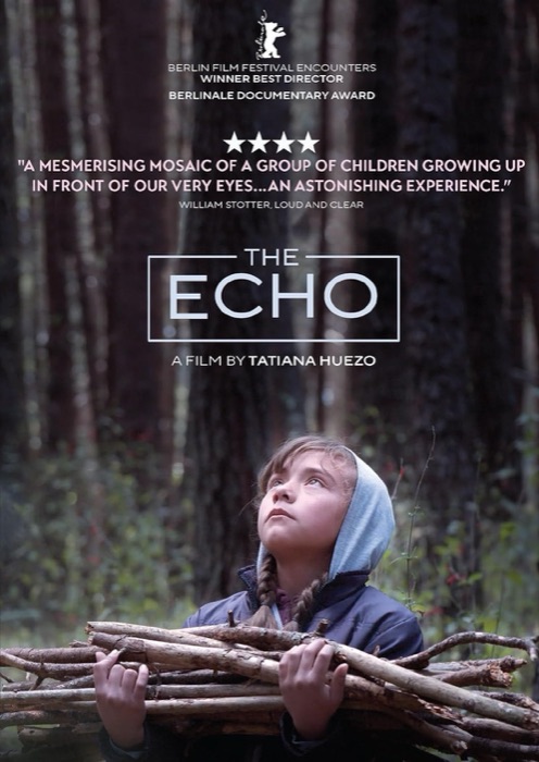 The Echo (online & DVD) poster