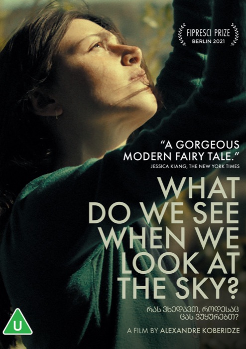 What Do We See When We Look At The Sky? online/DVD poster
